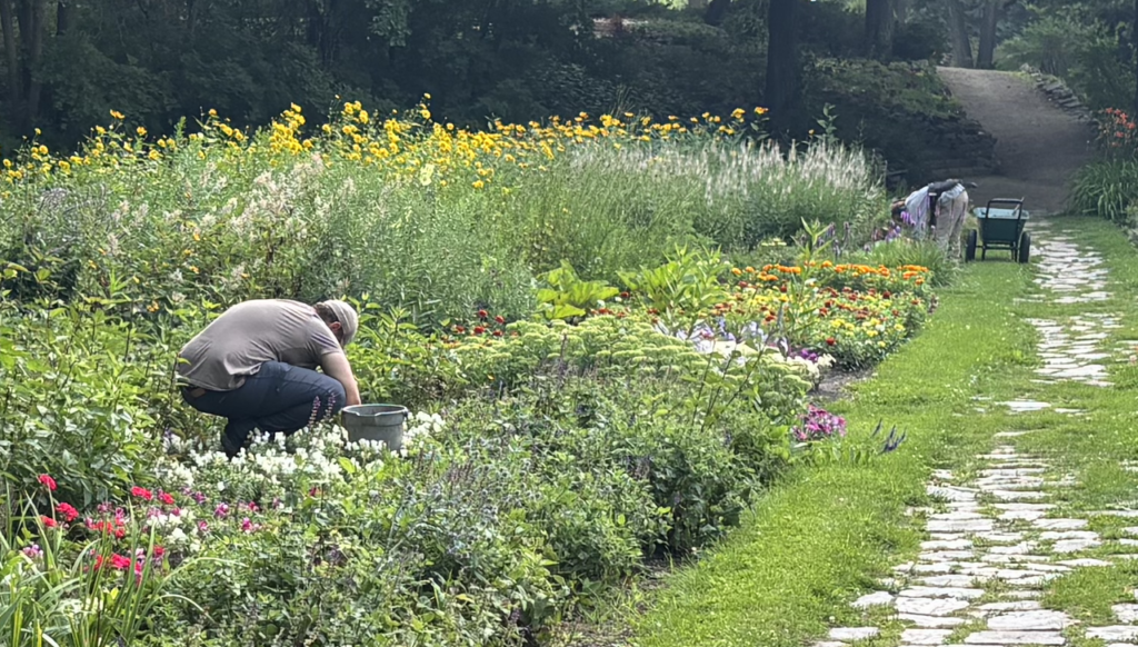 2 People gardening at Red River Road Heritage Park - August 5 2025.png