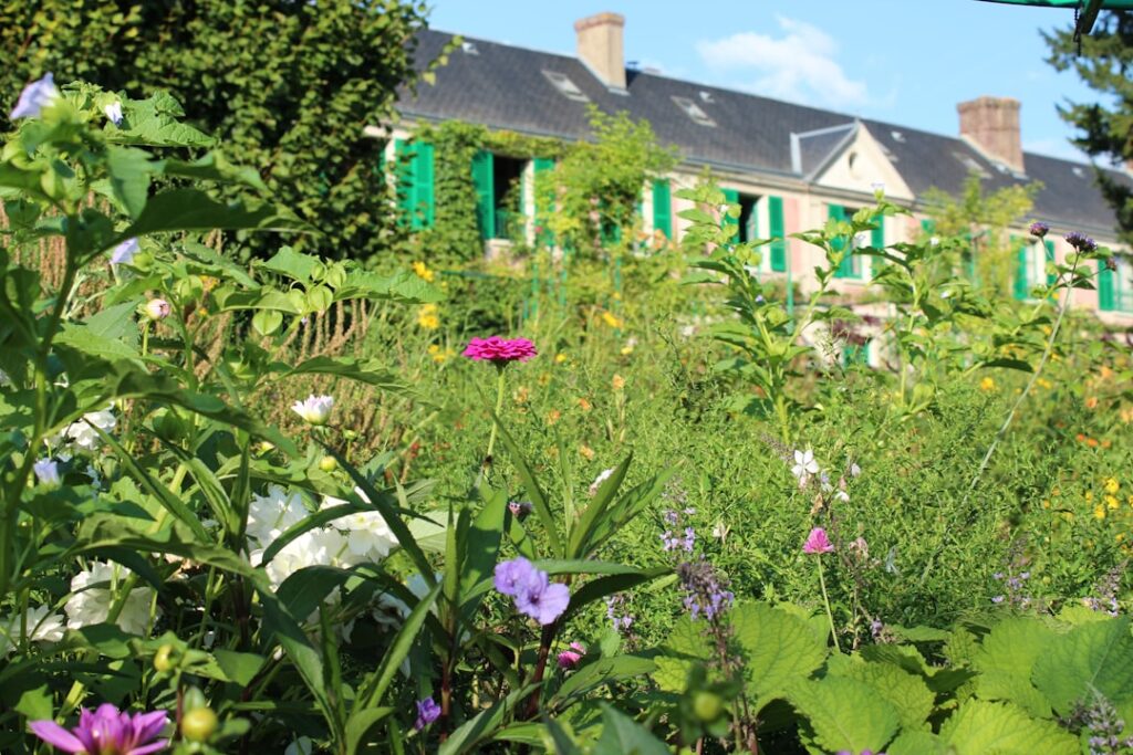 A house with green shutters is surrounded by wildflowers