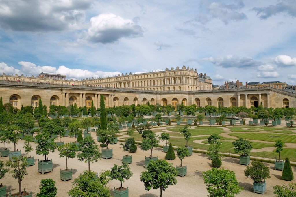 Your Guide to the Orangerie: Monet's Water Lilies in Paris
