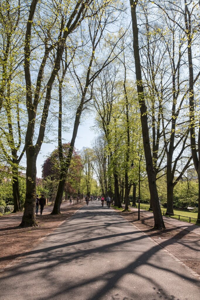 Münster, Promenade -- 2016 -- 2385.jpg