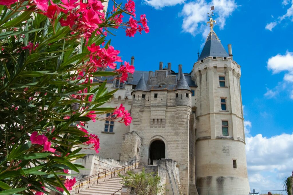 Château de Saumur